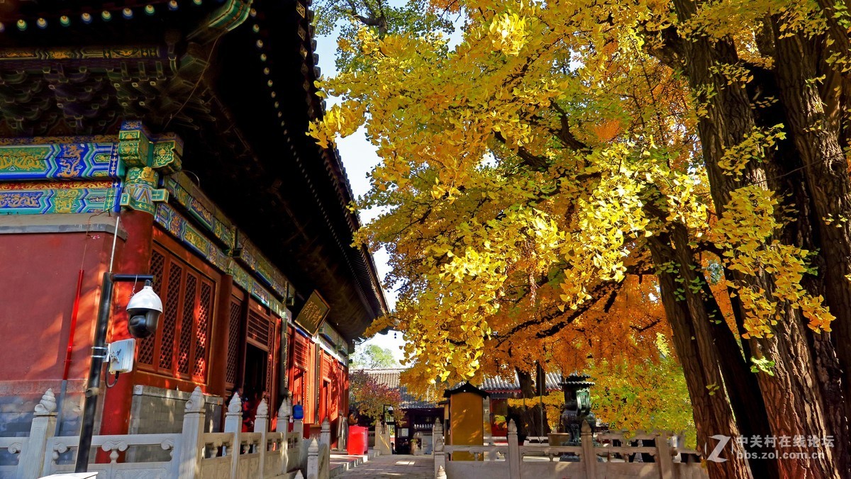 秋色北京------ 红  螺  寺