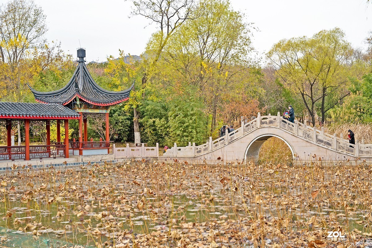 前年同期的北宫暮秋