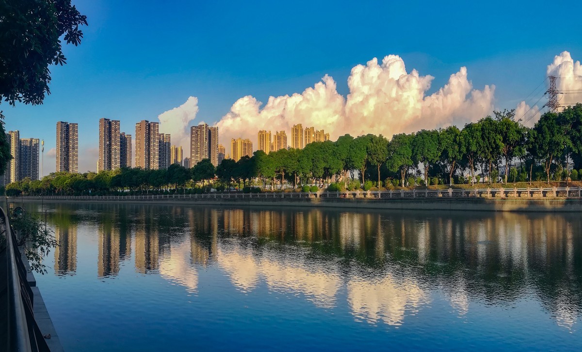 花地河之清晨手机随拍