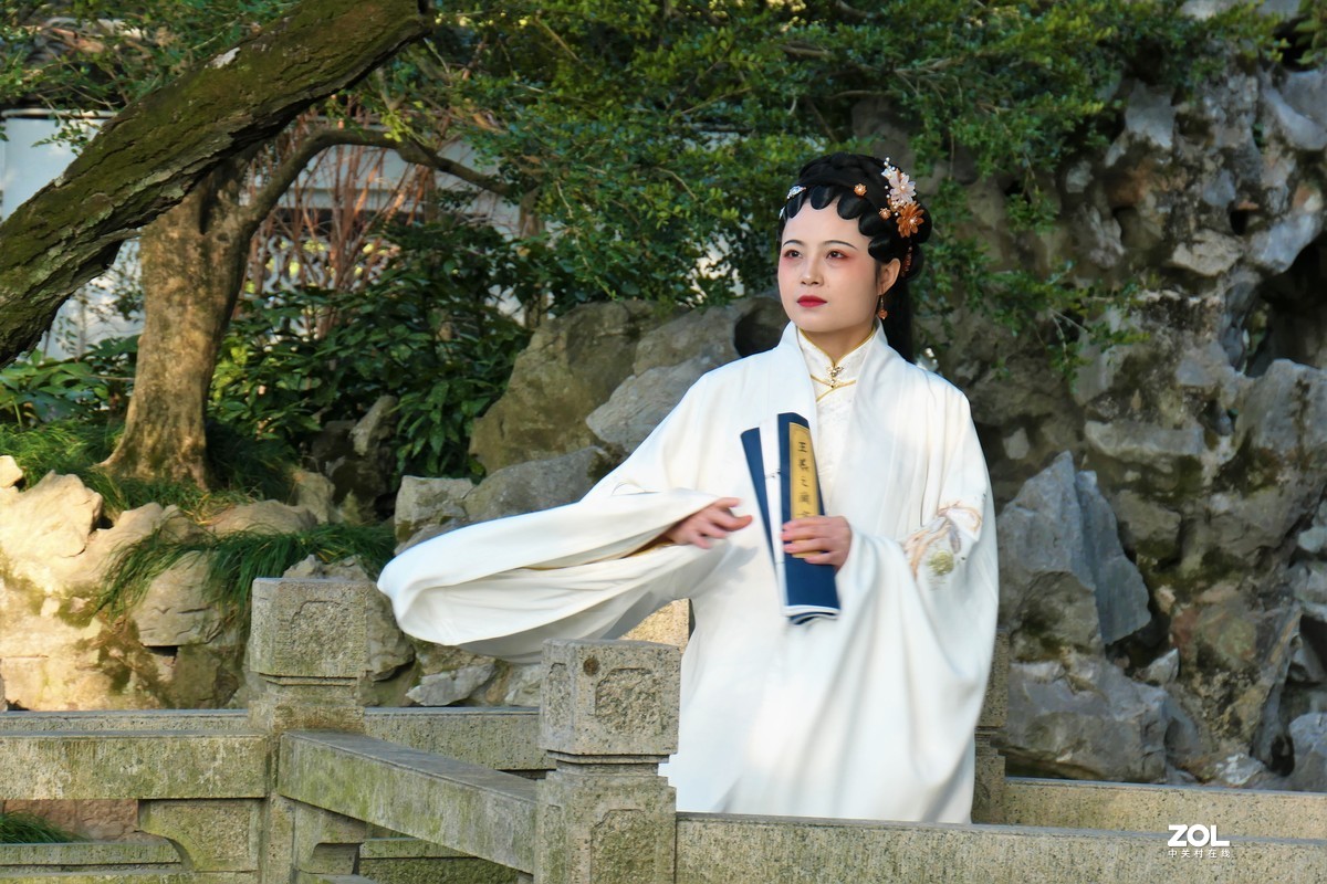 【婵娟】——摄于上海桂林公园