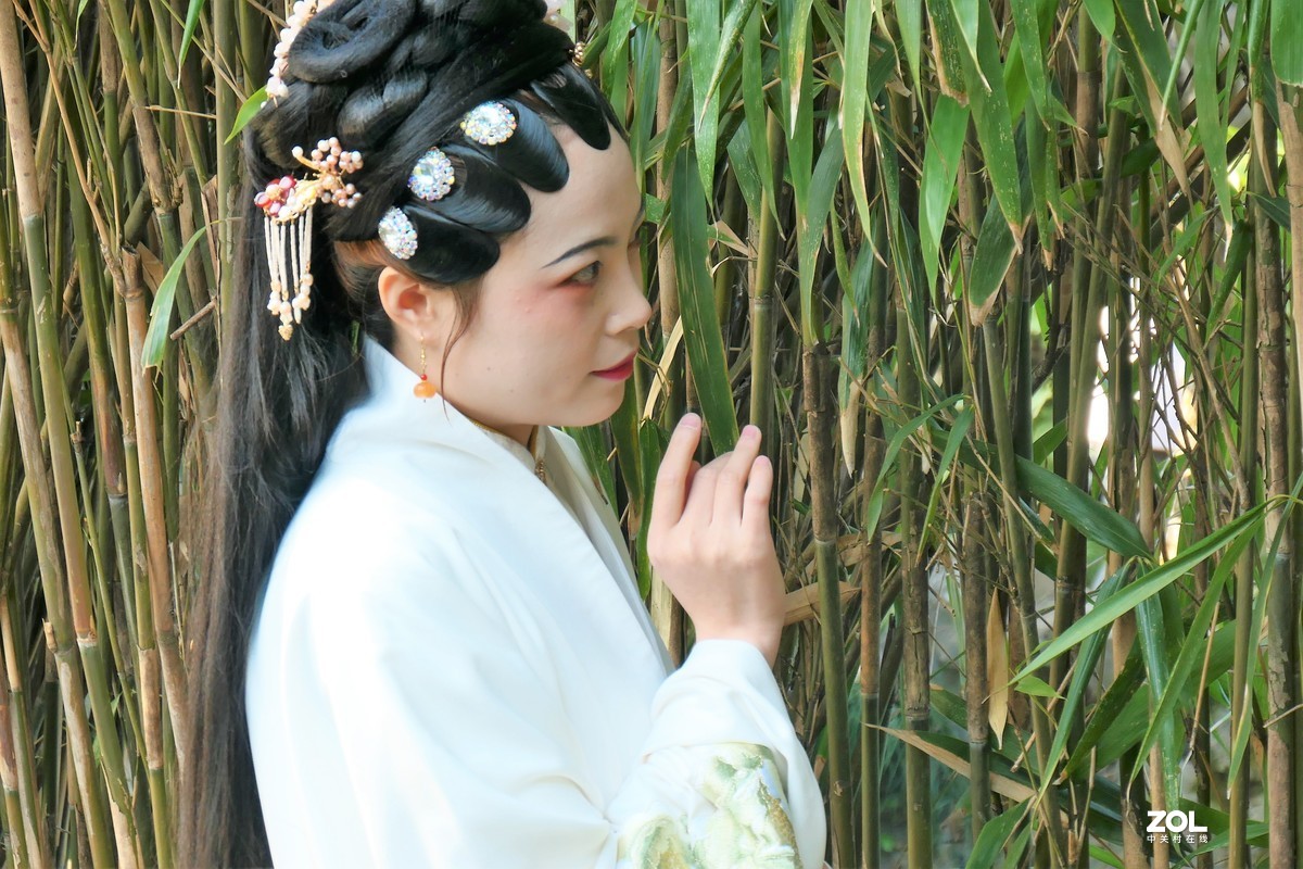 【婵娟】——摄于上海桂林公园