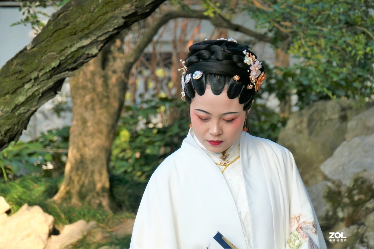 【婵娟】——摄于上海桂林公园