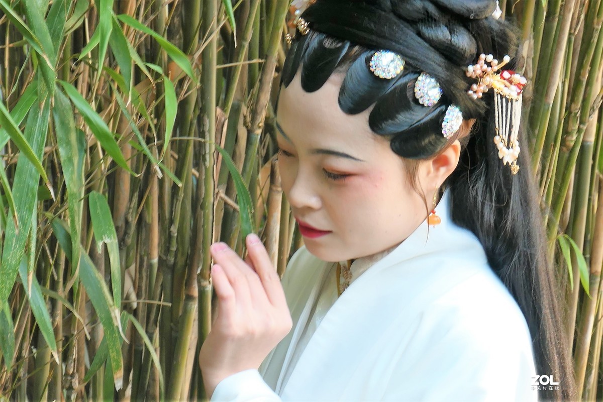 【婵娟】——摄于上海桂林公园