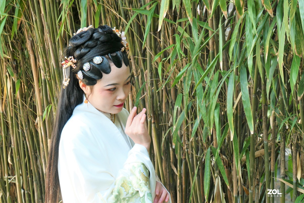 【婵娟】——摄于上海桂林公园