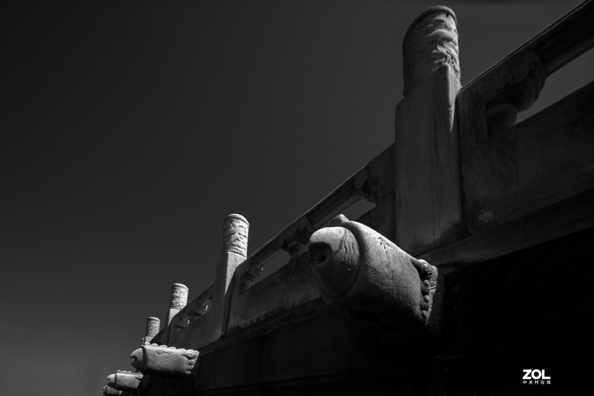 【结构是画面的支撑~影调是画意的形象】问候大家！