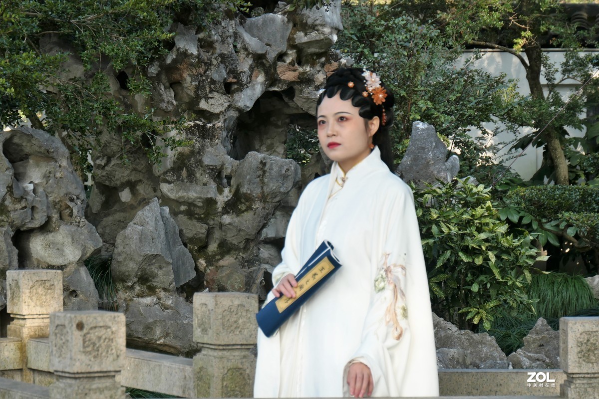 【婵娟】——摄于上海桂林公园