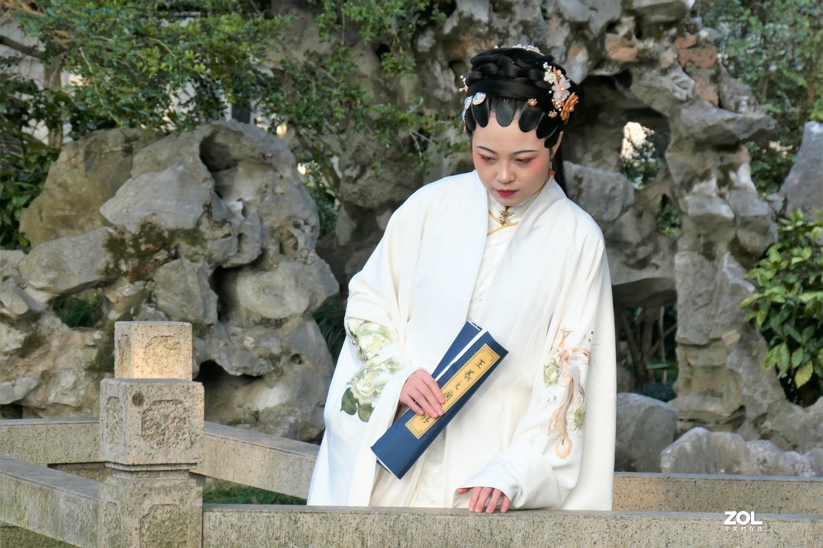 【婵娟】——摄于上海桂林公园