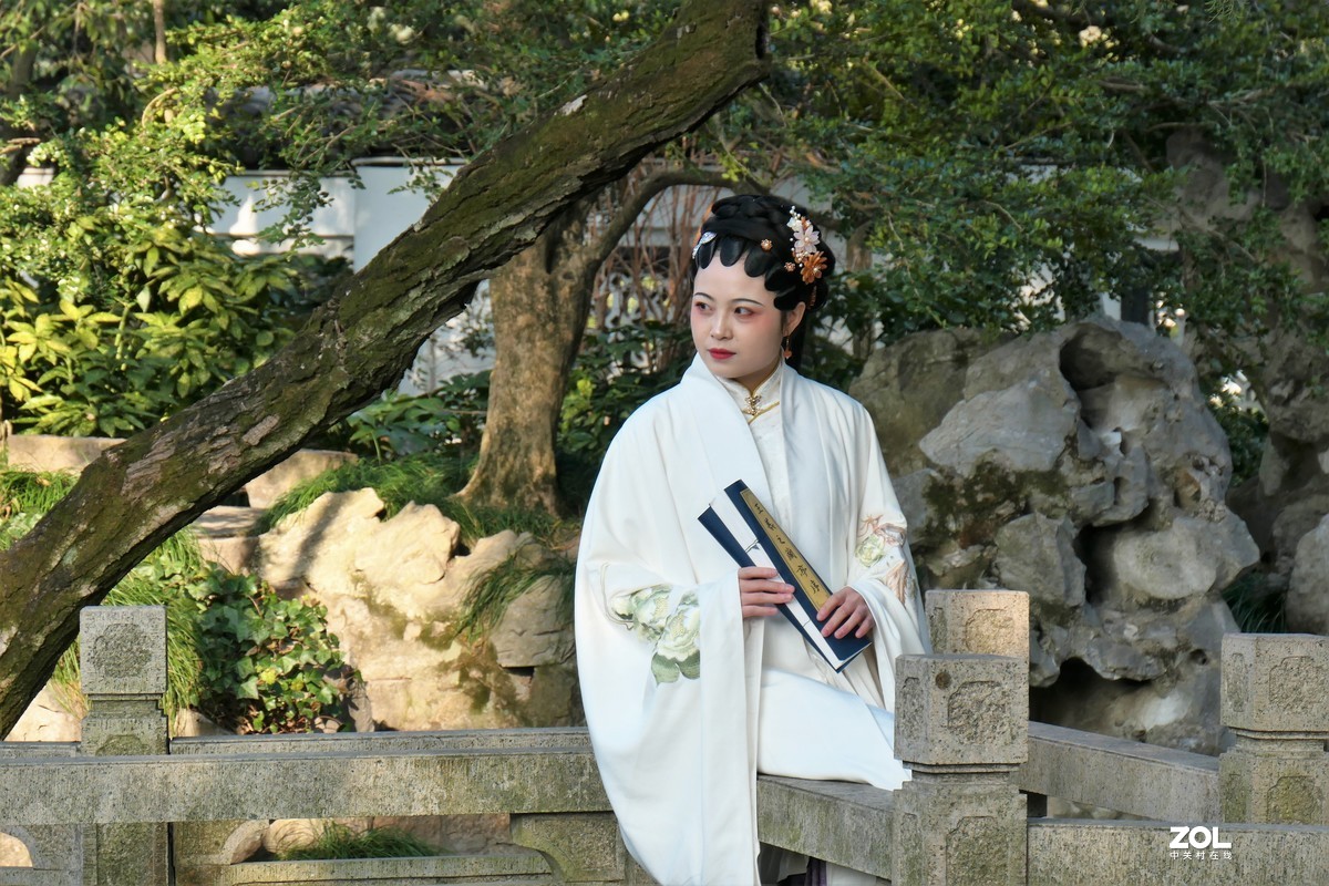 【婵娟】——摄于上海桂林公园