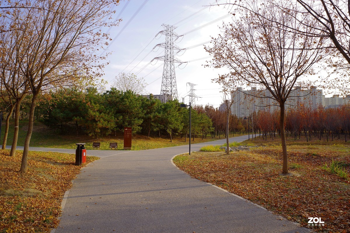 2020 —— 落叶知秋迎冬来