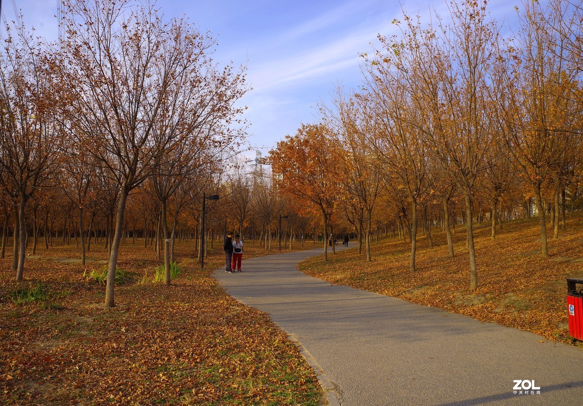 2020 —— 落叶知秋迎冬来