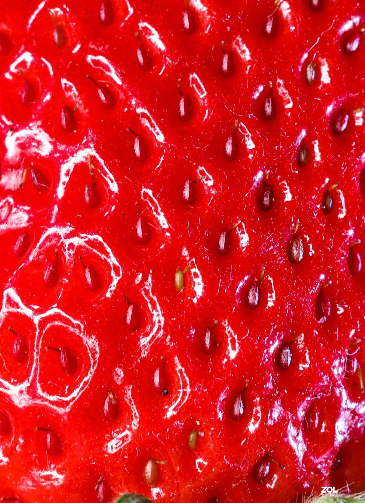 微距水果与小花小草