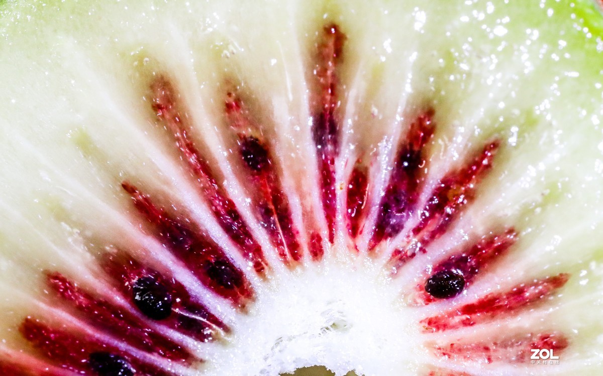 微距水果与小花小草