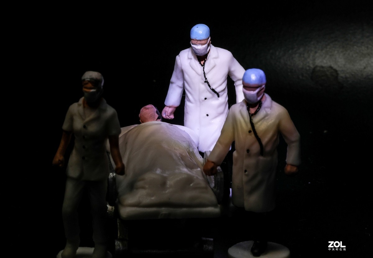 微距水果与小花小草