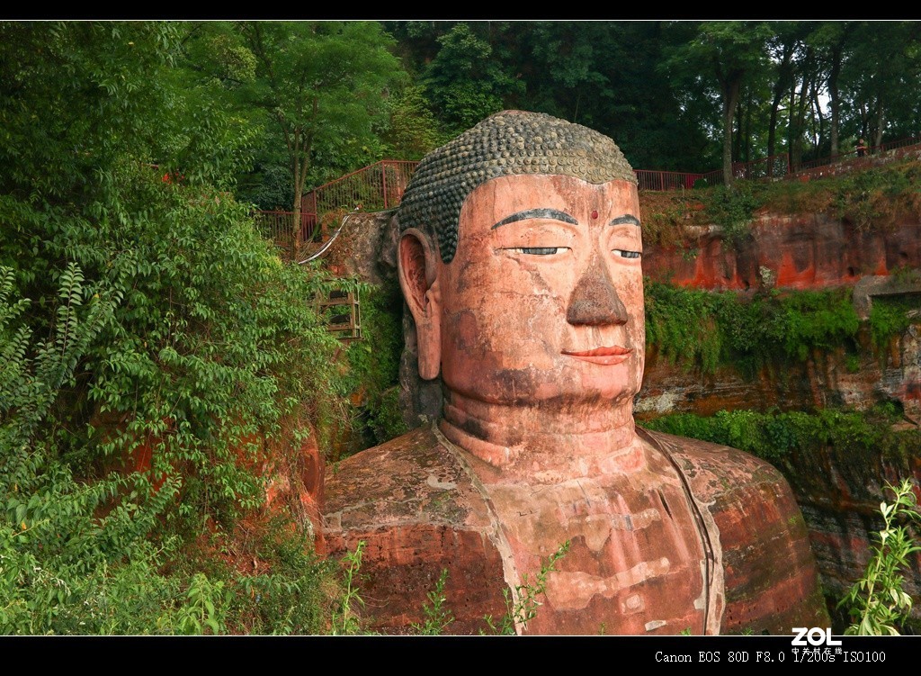 报到贴————游览四川乐山大佛分享
