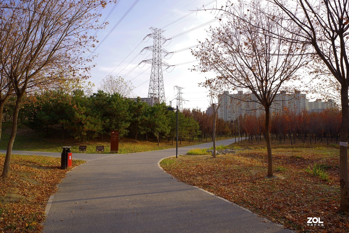 2020 —— 落叶知秋迎冬来