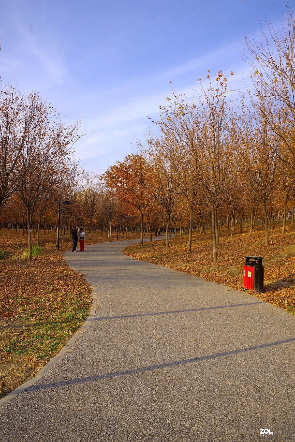 2020 —— 落叶知秋迎冬来