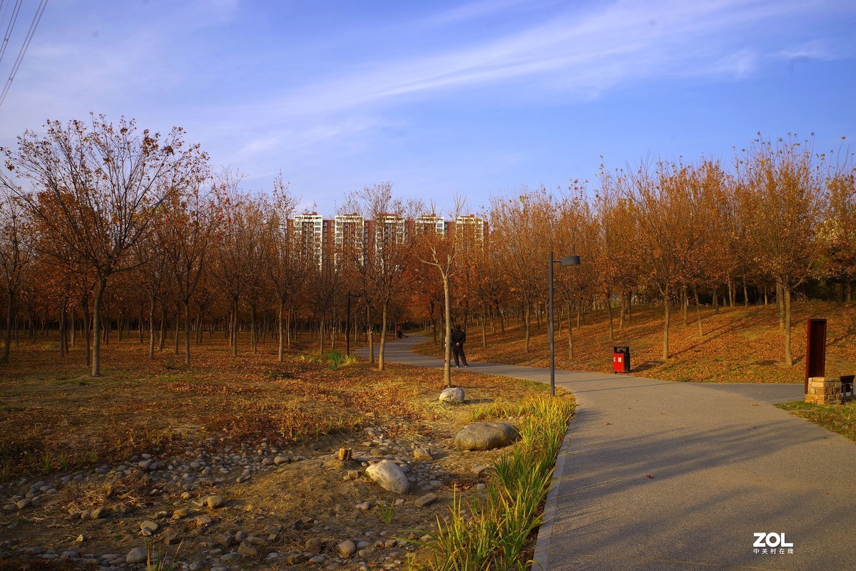 2020 —— 落叶知秋迎冬来