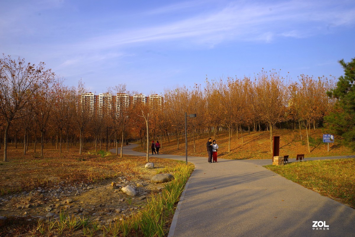 2020 —— 落叶知秋迎冬来