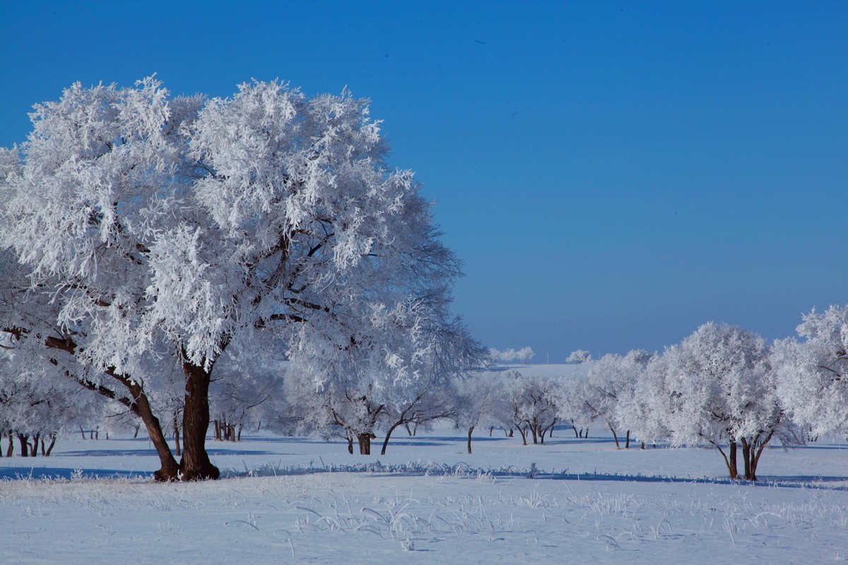 冬天的景色 简单图片