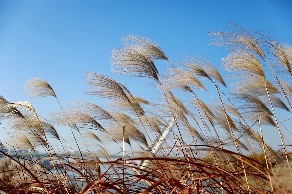很久没来，发一些今年的随拍