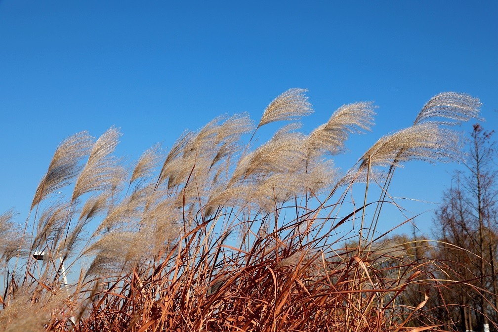 很久没来，发一些今年的随拍
