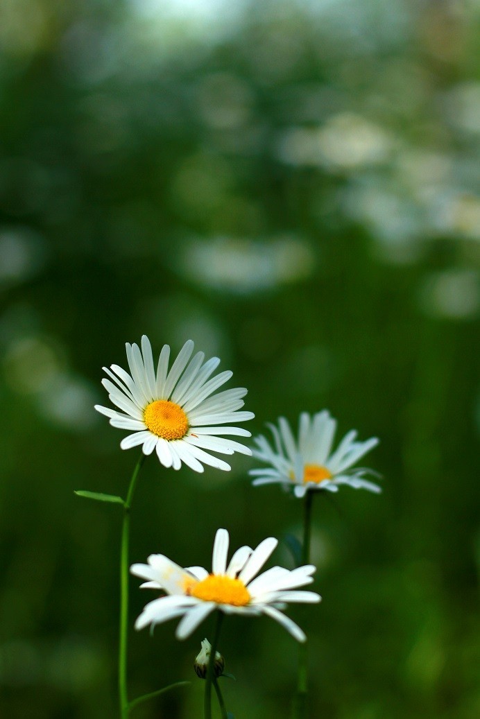 很久没来，发一些今年的随拍