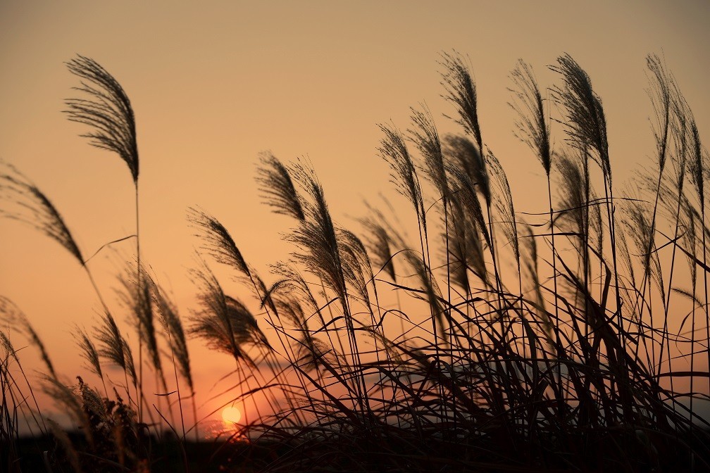很久没来，发一些今年的随拍