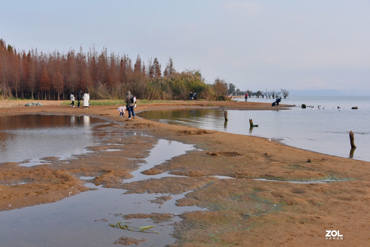 王官溼地公園