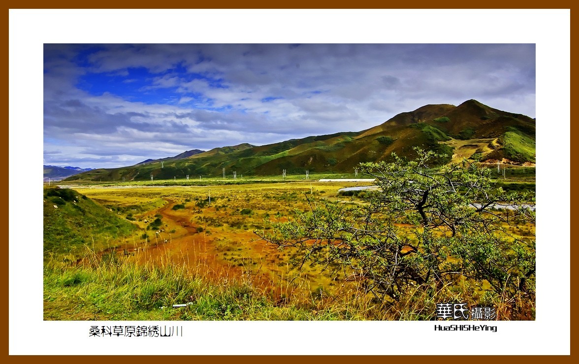 2020西西南北行游走甘南037——桑科草原锦绣山川（夏河县）