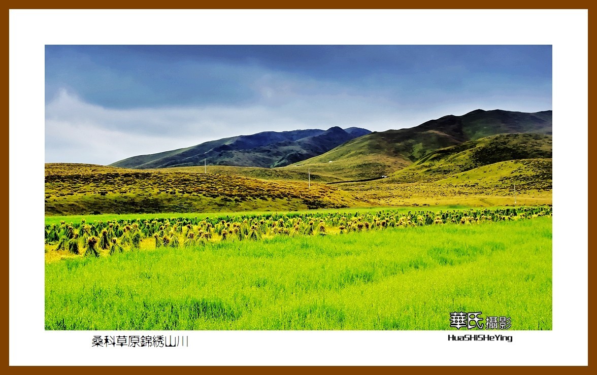 2020西西南北行游走甘南037——桑科草原锦绣山川（夏河县）