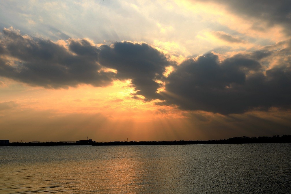 很久没来，发一些今年的随拍