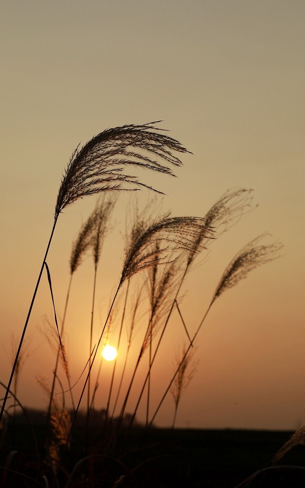 很久没来，发一些今年的随拍