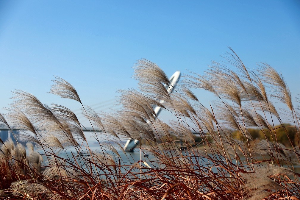 很久没来，发一些今年的随拍