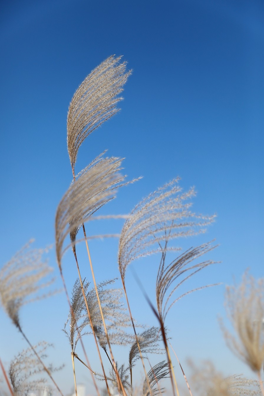 很久没来，发一些今年的随拍