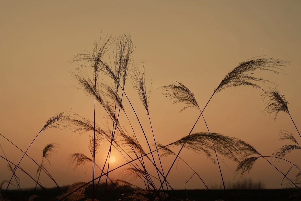 很久没来，发一些今年的随拍