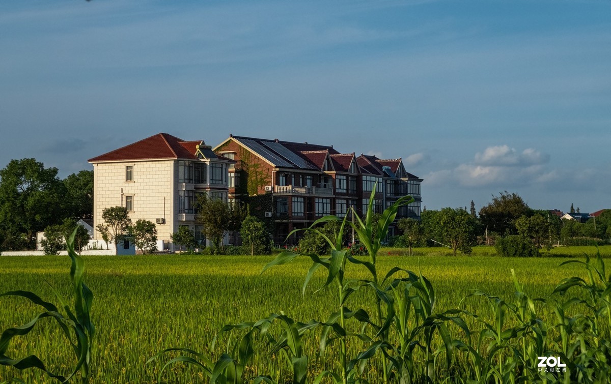 魔都最美丽的乡村