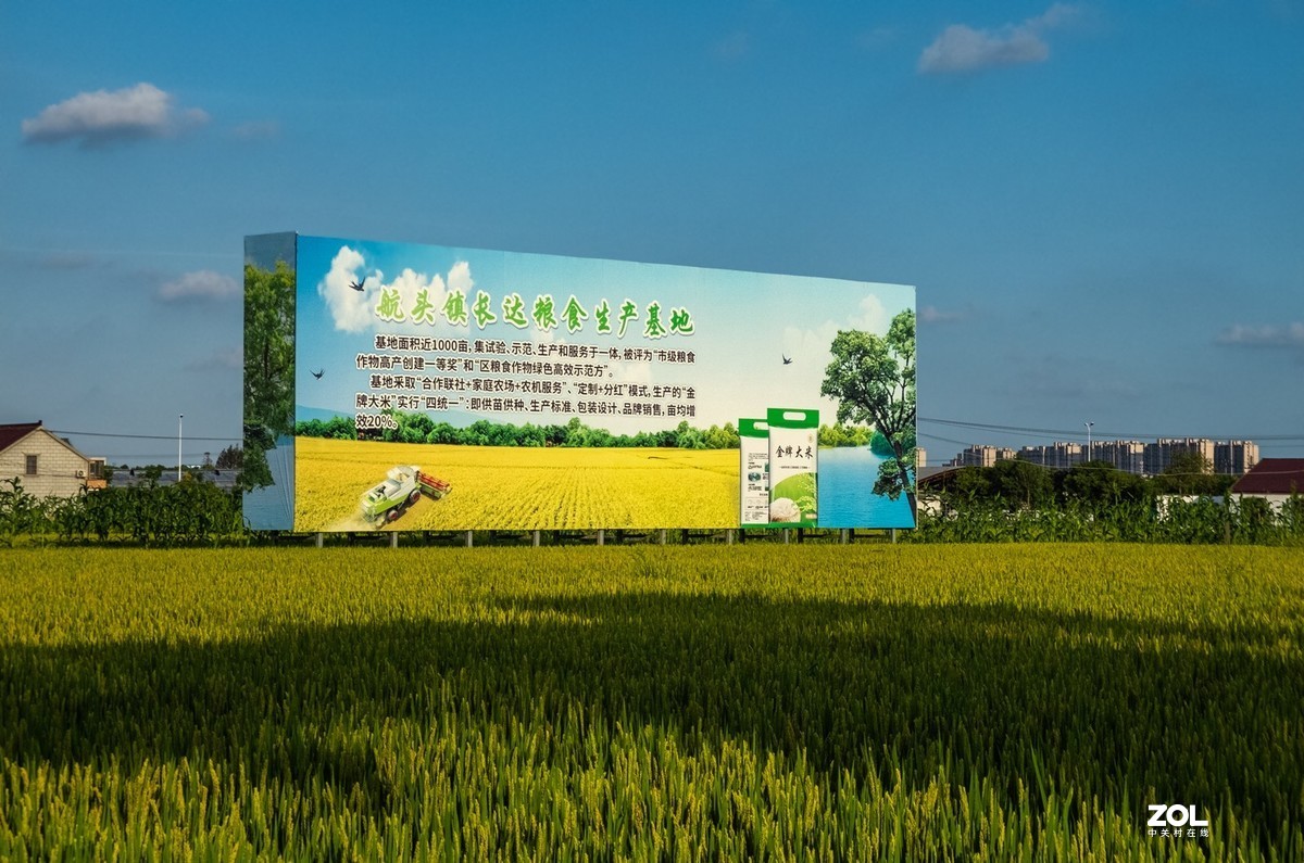 魔都最美丽的乡村