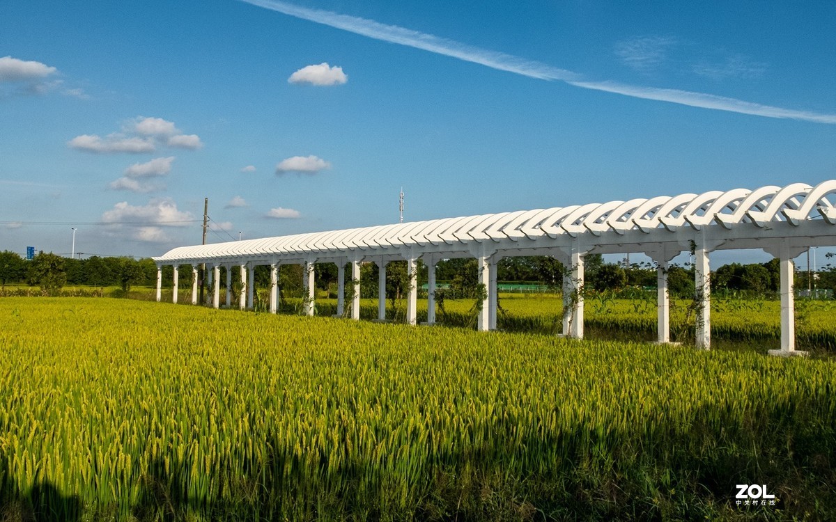 魔都最美丽的乡村