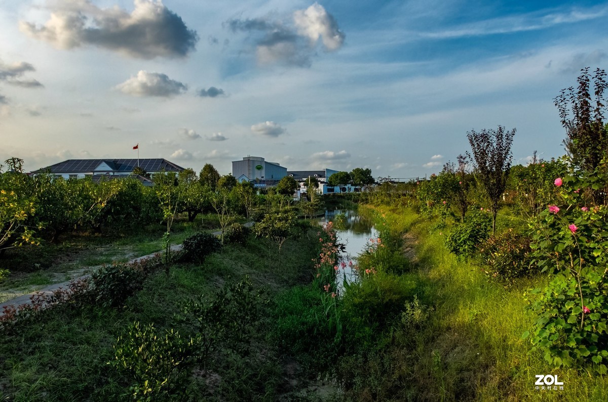 魔都最美丽的乡村