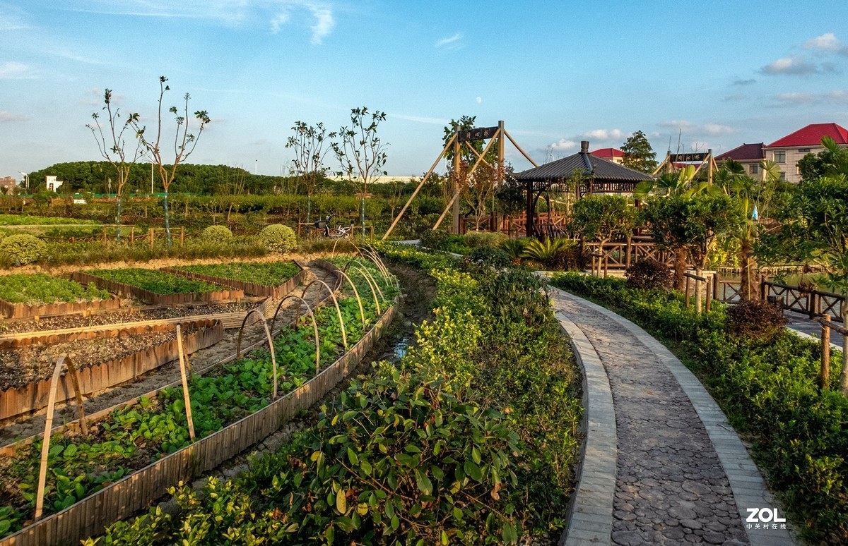 魔都最美丽的乡村