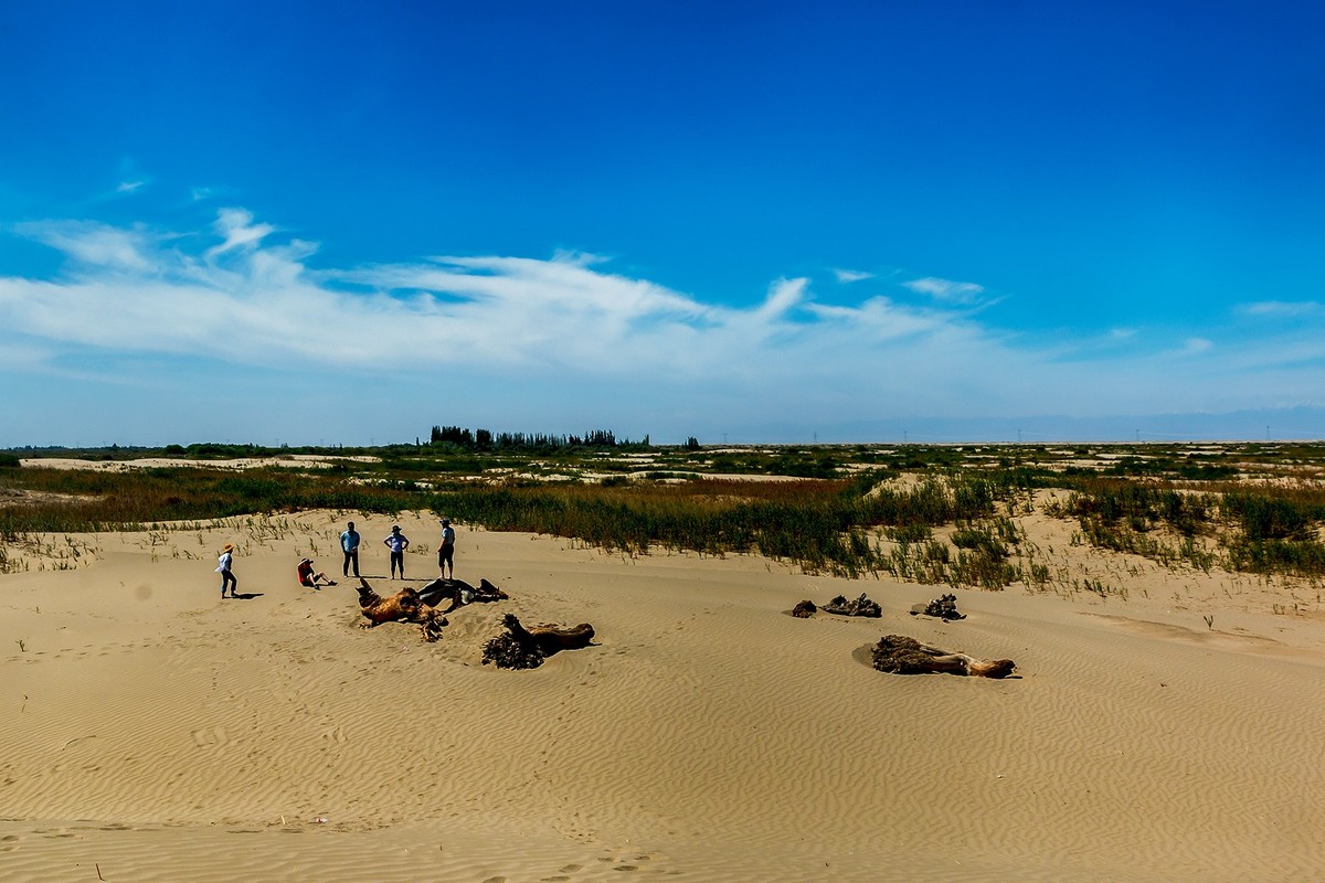 旅游记录：新疆 · 岳普湖县 · 达瓦昆沙漠