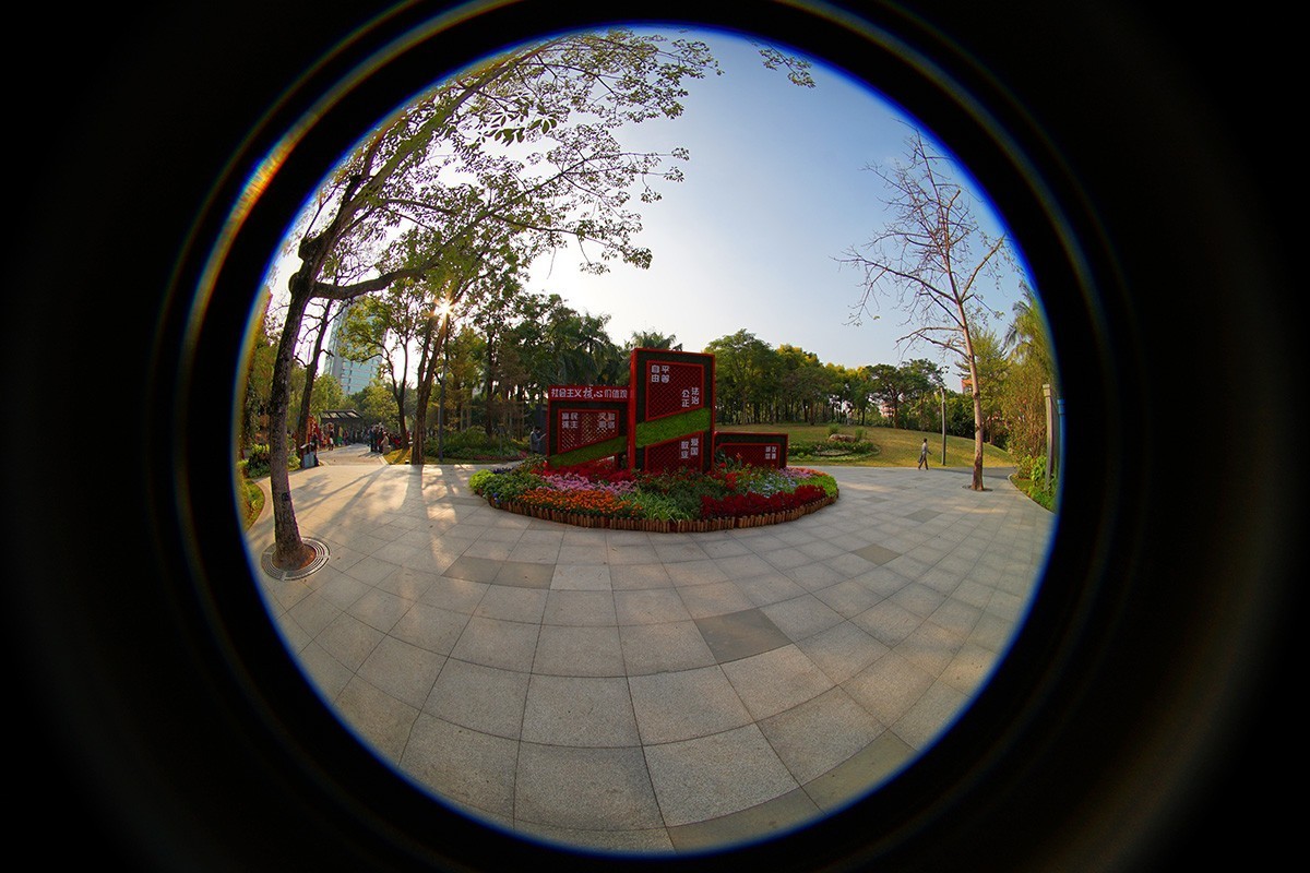 构图练习