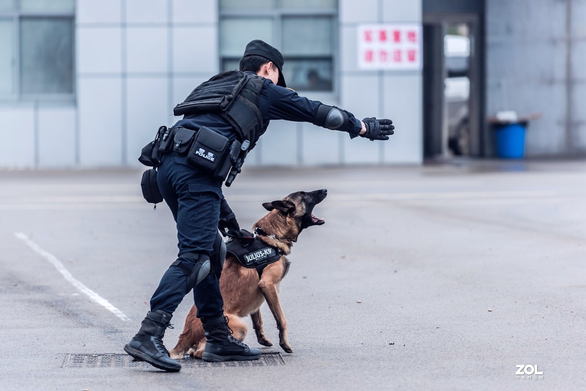 特警英姿——“2020星城之剑”特巡警技能比武现场抓拍记