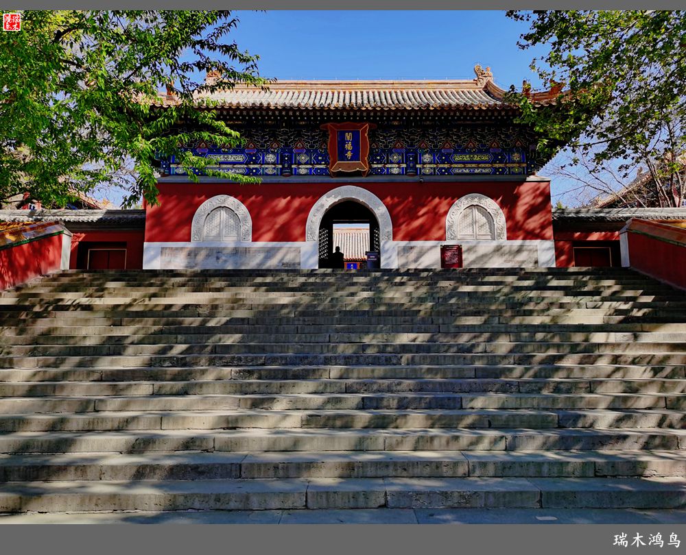 【春天的记忆】太液池畔的出海蛟龙——五龙亭