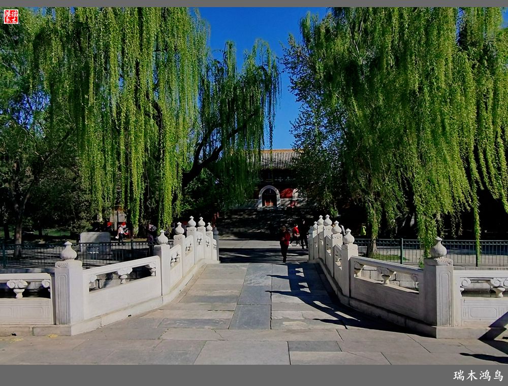 【春天的记忆】太液池畔的出海蛟龙——五龙亭