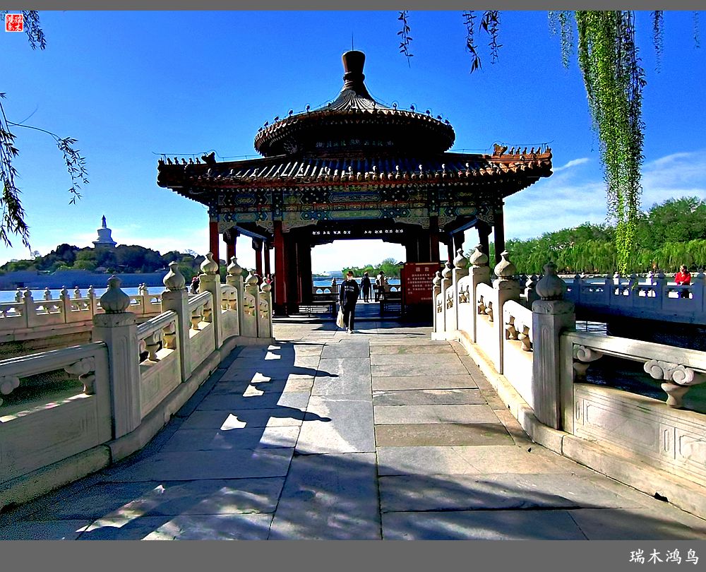 【春天的记忆】太液池畔的出海蛟龙——五龙亭
