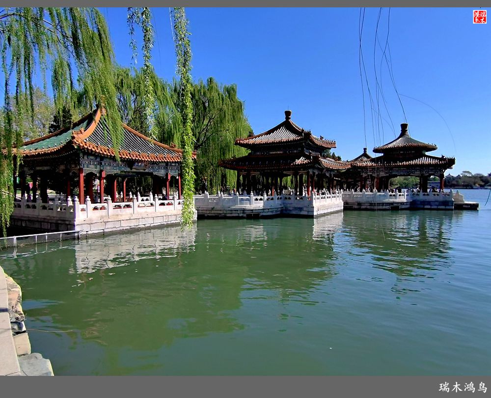 【春天的记忆】太液池畔的出海蛟龙——五龙亭