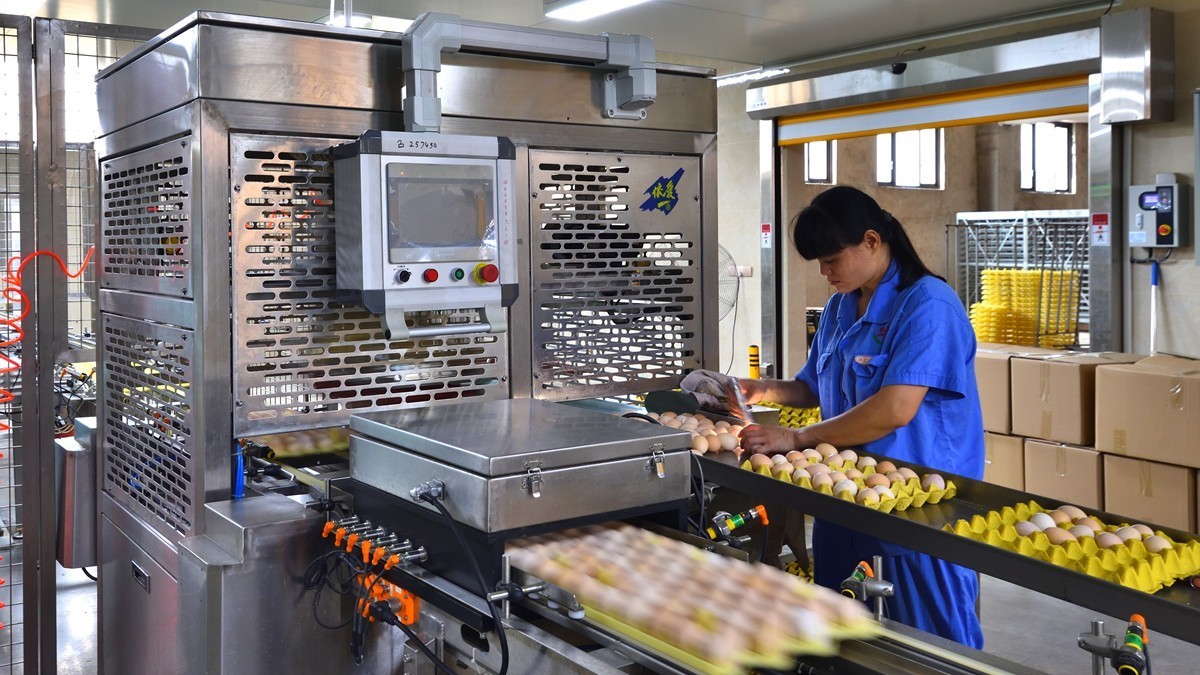 一个现代孵化中心