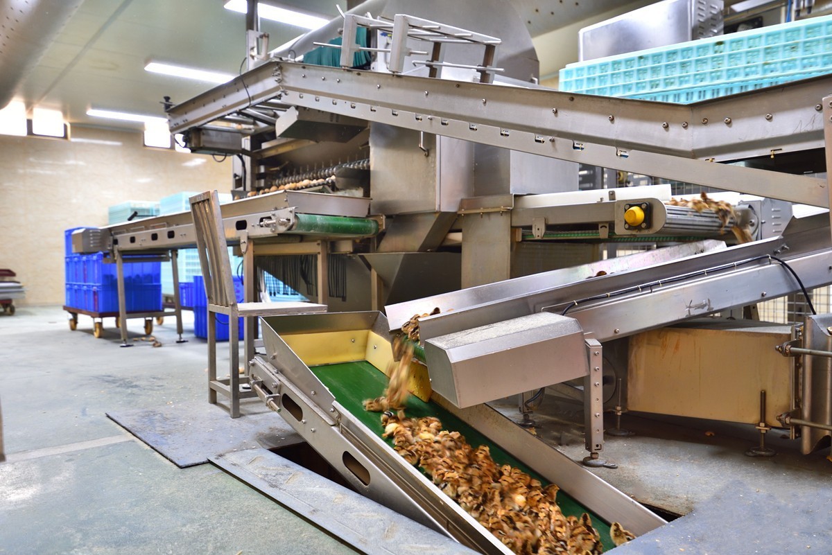 一个现代孵化中心