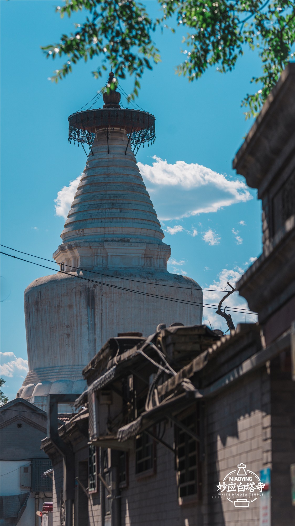 a7R4搭配适马小黑五代，白塔寺随拍